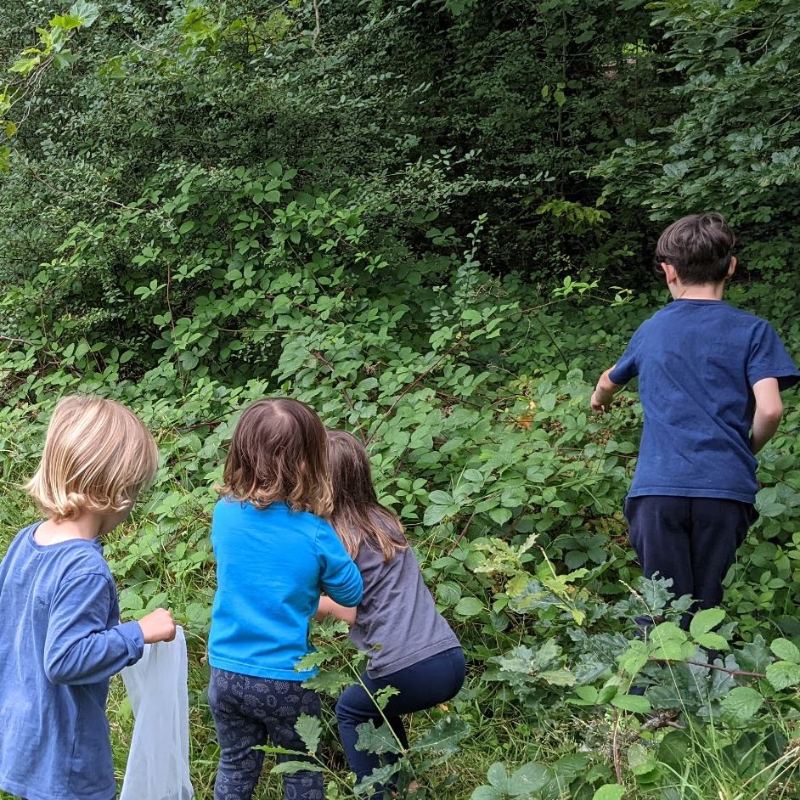 Children walking into the woods together