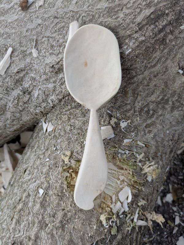 A wooden spoon resting on a log among shavings